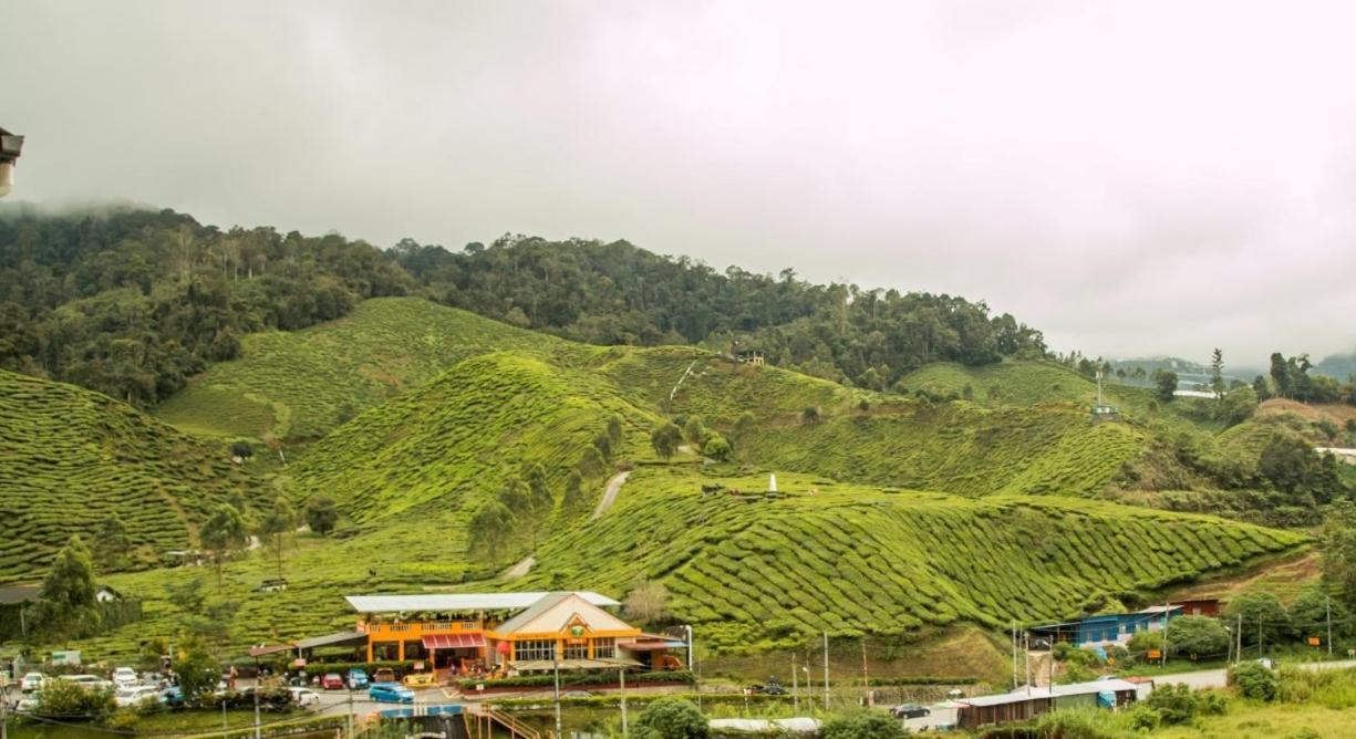 Gorgeous Sunset & Tea Plantation View-Premium Hotel Bed Kampung Kuala Terla Exteriér fotografie
